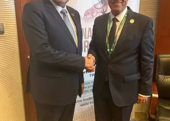 Egypte-Seychelles : Renforcer la coopération dans les domaines prioritaires 