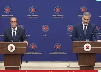 Egypte-Turquie : Convergence des vues autour des dossiers régionaux