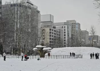 Japon : Plusieurs décès après des chutes de neige record