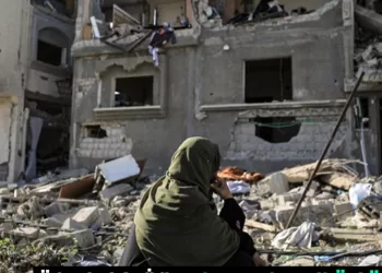 Ordre des ingénieurs : Un comité spécial pour la reconstruction de Gaza