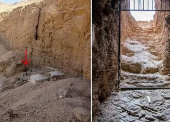 La découverte la plus importante de ces dernières années