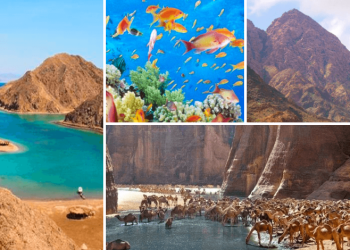 Aïd Al Fitr : Les réserves naturelles ouvrent leurs portes aux Egyptiens
