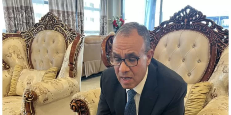 Le ministre des AE à une réunion ministérielle virtuelle du CPS-UA 1 - Le Progrès Egyptien