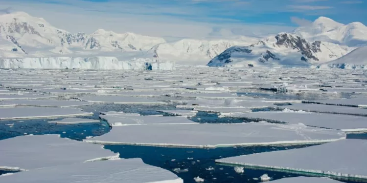 Réchauffement : Déclin record de la banquise 2 - Le Progrès Egyptien Réchauffement : Déclin record de la banquise 1 - Le Progrès Egyptien