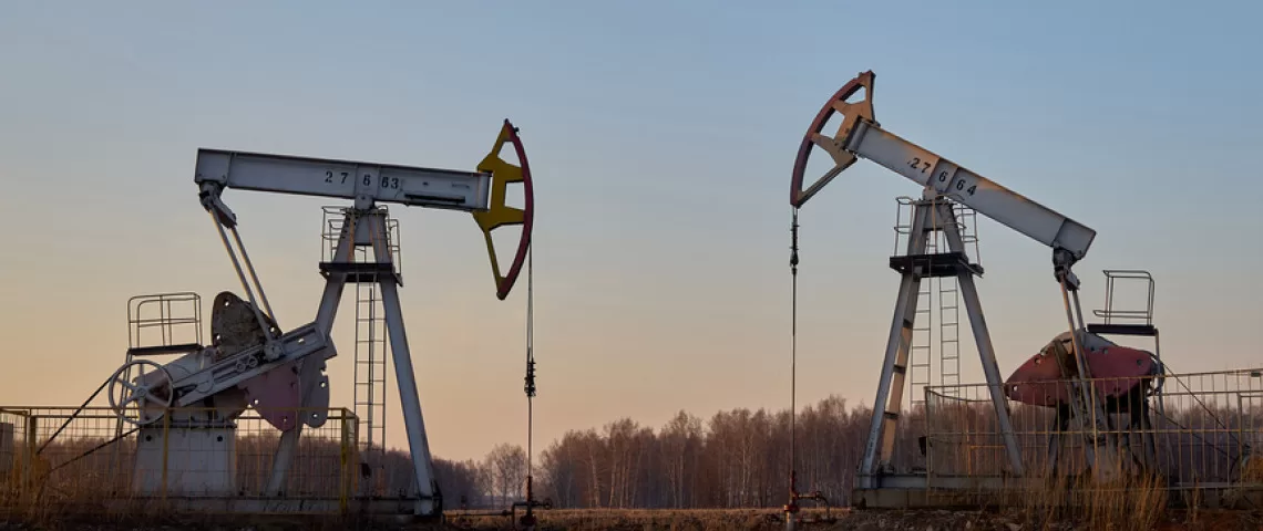 Secteur pétrolier : Réduire des émissions de carbone 1 - Le Progrès Egyptien