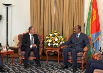 Le ministre des Affaires étrangères transmet un message du président Al-Sissi au président érythréen
