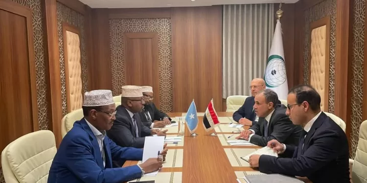 L’Egypte et la Somalie renforcent leur coopération stratégique 1 - Le Progrès Egyptien