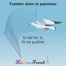 Pour améliorer votre français 4 - Le Progrès Egyptien Pour améliorer votre français 3 - Le Progrès Egyptien