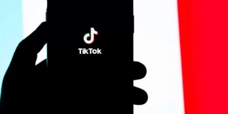 Effets psychologiques de TikTok sur les mineurs   2 - Le Progrès Egyptien Effets psychologiques de TikTok sur les mineurs   1 - Le Progrès Egyptien