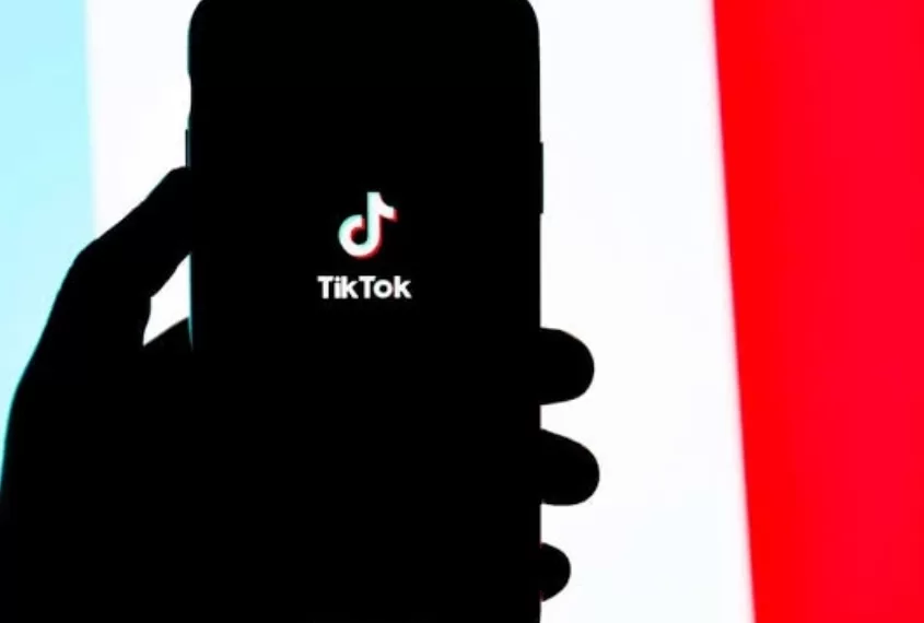 Effets psychologiques de TikTok sur les mineurs   1 - Le Progrès Egyptien