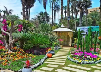 La réouverture du Zoo et du parc d’Al-Ourman prévue en septembre