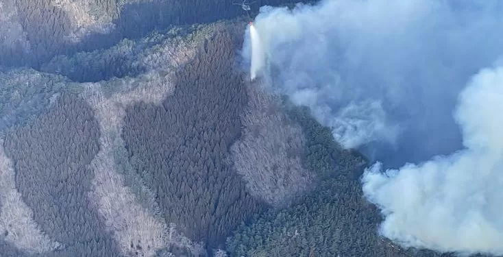 Le Japon déploie plus de 2.000 pompiers pour lutter contre d'importants feux de forêts 1 - Le Progrès Egyptien