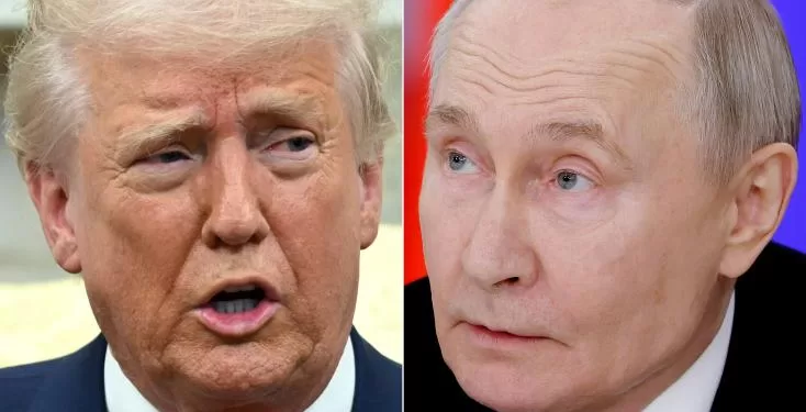 Trump tente de rallier Poutine à son projet de trêve en Ukraine 1 - Le Progrès Egyptien