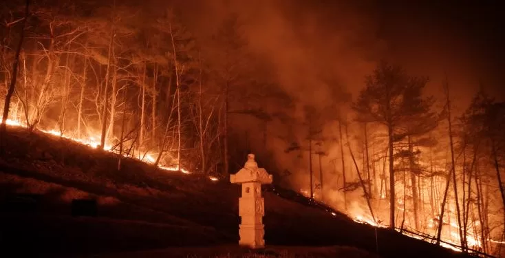 La Corée du Sud en proie aux incendies les plus destructeurs et meurtriers de son histoire 1 - Le Progrès Egyptien