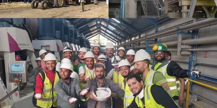 Sucre : L'Egypte atteint l'autosuffisance 1 - Le Progrès Egyptien