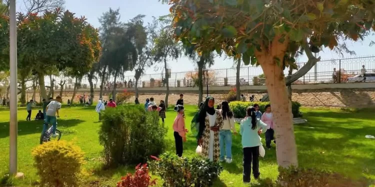Aïd Al-Fitr : Une grande affluence de visiteurs dans les jardins 2 - Le Progrès Egyptien Aïd Al-Fitr : Une grande affluence de visiteurs dans les jardins 1 - Le Progrès Egyptien
