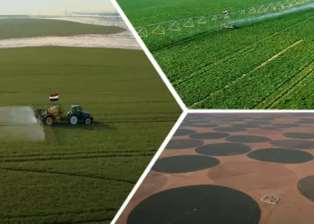Nouveau Delta : Projet agricole colossal et ambitieux