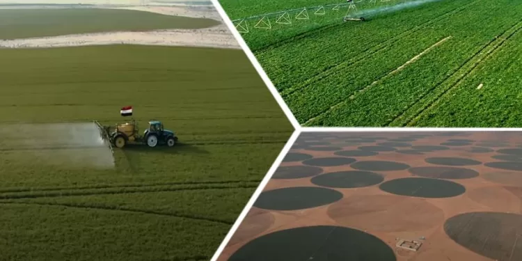 Nouveau Delta : Projet agricole colossal et ambitieux 1 - Le Progrès Egyptien