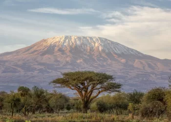 Réchauffement : Est-ce possible de sauver les neiges du Kilimandjaro?