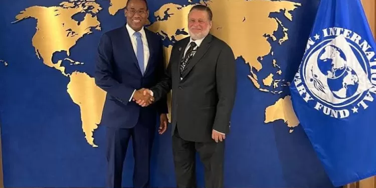 FMI: Bonne gestion par l’Egypte du dossier économique face aux chocs externes 2 - Le Progrès Egyptien FMI: Bonne gestion par l’Egypte du dossier économique face aux chocs externes 1 - Le Progrès Egyptien