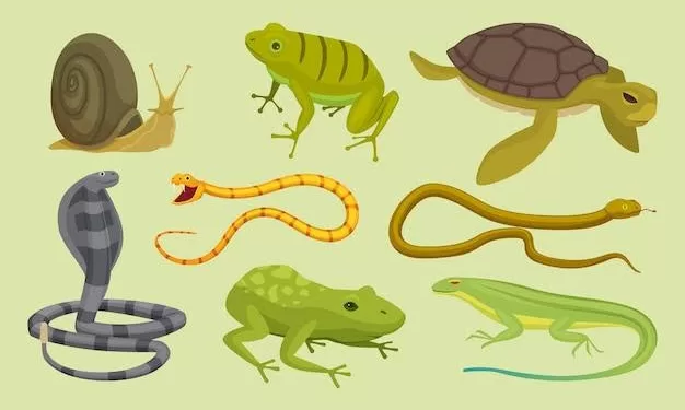 Histoires de ma grand-mère: La grande course des trois animaux 2 - Le Progrès Egyptien Histoires de ma grand-mère: La grande course des trois animaux 1 - Le Progrès Egyptien