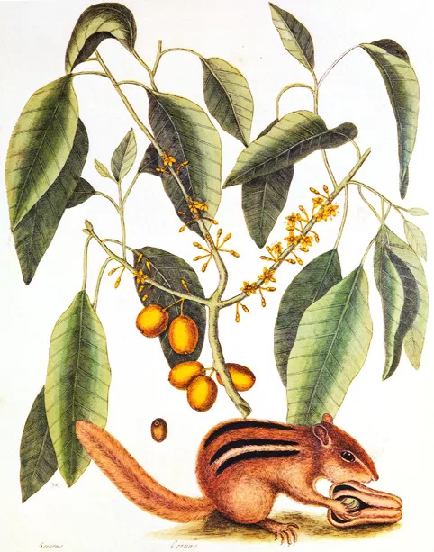 Centre de langue arabe d’Abou Dhabi: À la découverte des merveilles oubliées, un hymne aux pionniers de la nature 8 - Le Progrès Egyptien Centre de langue arabe d’Abou Dhabi: À la découverte des merveilles oubliées, un hymne aux pionniers de la nature 7 - Le Progrès Egyptien