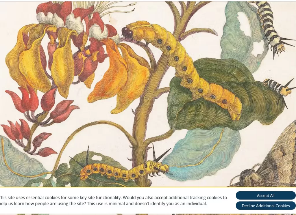 Centre de langue arabe d’Abou Dhabi: À la découverte des merveilles oubliées, un hymne aux pionniers de la nature 6 - Le Progrès Egyptien Centre de langue arabe d’Abou Dhabi: À la découverte des merveilles oubliées, un hymne aux pionniers de la nature 5 - Le Progrès Egyptien