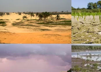 Promouvoir l’action climatique en Afrique de l’ouest