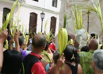 Le parfum des rameaux: Une fête pour l’âme de l’Egypte