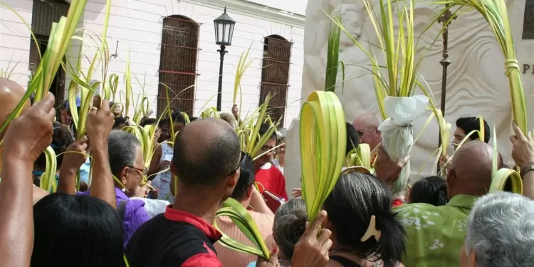 Le parfum des rameaux: Une fête pour l’âme de l’Egypte 1 - Le Progrès Egyptien