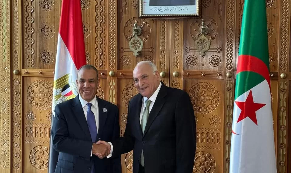 Pourparlers du ministre des AE et son homologue algérien 1 - Le Progrès Egyptien