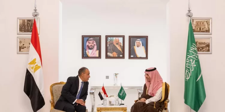 Riyad : Le ministre des AE assiste au comité de consultation politique avec l'Arabie saoudite 1 - Le Progrès Egyptien