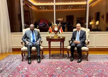 AE : Renforcer les relations bilatérales Egypte – Angola