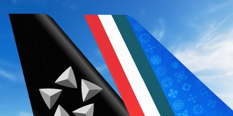ITA Airways rejoint l'alliance mondiale Star Alliance 1 - Le Progrès Egyptien