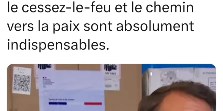 Macron : La situation à Gaza est intenable 1 - Le Progrès Egyptien
