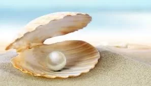 Pour améliorer votre français 6 - Le Progrès Egyptien Pour améliorer votre français 5 - Le Progrès Egyptien