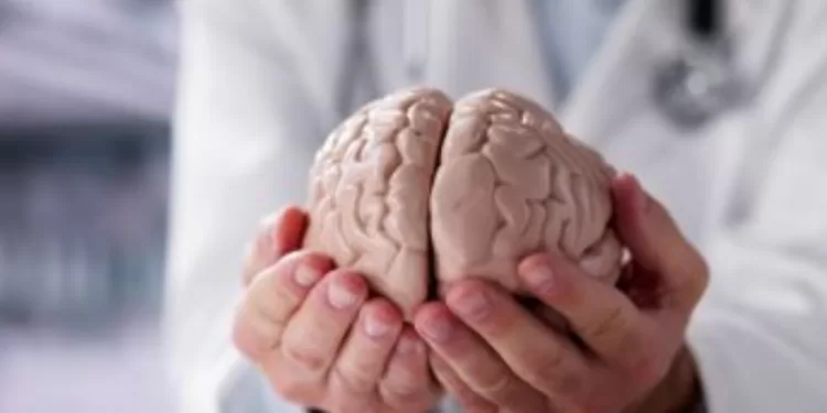 Des habitudes essentielles pour préserver votre santé mentale 2 - Le Progrès Egyptien Des habitudes essentielles pour préserver votre santé mentale 1 - Le Progrès Egyptien