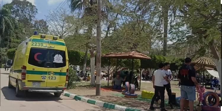 Cham El-Nessim: Les centres du réseau national d'urgence, activés 1 - Le Progrès Egyptien