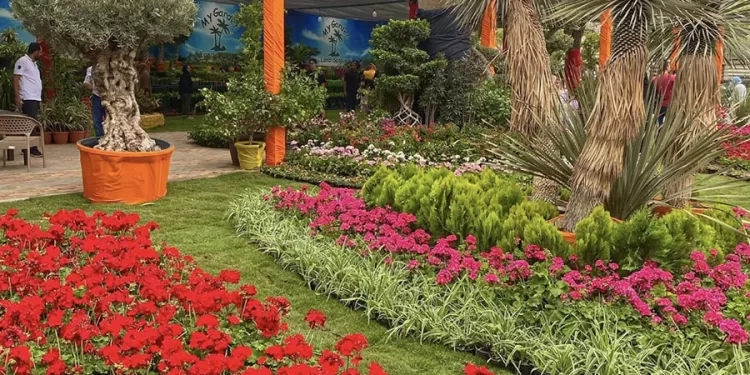 Les fleurs, un langage universel de beauté et d'amour 1 - Le Progrès Egyptien