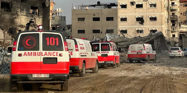 L’OMS appelle à la reprise immédiate de l'évacuation médicale à Gaza 1 - Le Progrès Egyptien