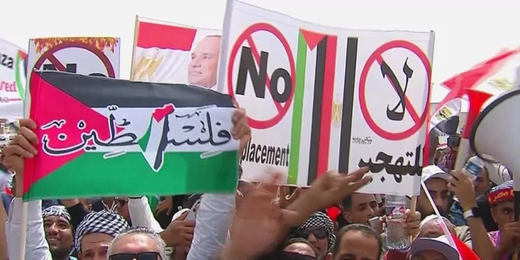 Manifestants à Arich: Gaza, une ligne rouge 1 - Le Progrès Egyptien