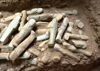 Xinhua : De nouvelles découvertes archéologiques révèlent l’histoire du temple de Ramesséum