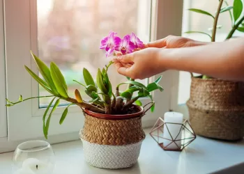 Quand la décoration rend heureux…