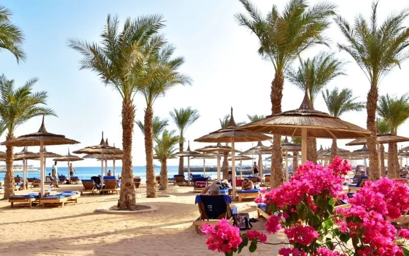 Egypte : Hurghada et Charm El-Cheikh, destinations phares de l’été 10 - Le Progrès Egyptien Egypte : Hurghada et Charm El-Cheikh, destinations phares de l’été 9 - Le Progrès Egyptien