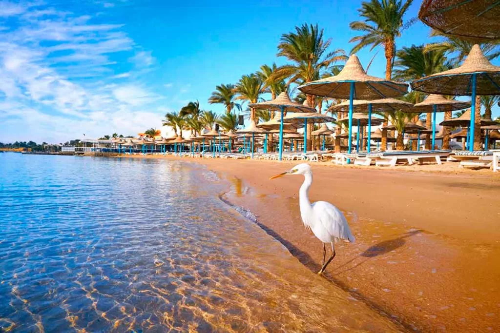 Egypte : Hurghada et Charm El-Cheikh, destinations phares de l’été 6 - Le Progrès Egyptien Egypte : Hurghada et Charm El-Cheikh, destinations phares de l’été 5 - Le Progrès Egyptien