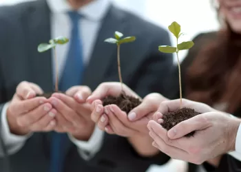 Vision d’Egypte 2030 : La durabilité environnementale, un objectif