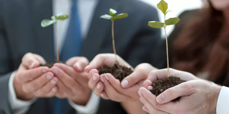 Vision d’Egypte 2030 : La durabilité environnementale, un objectif 1 - Le Progrès Egyptien