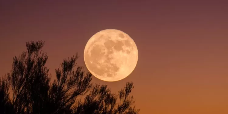 Que se trouve à l'intérieur de la Lune? 2 - Le Progrès Egyptien Que se trouve à l'intérieur de la Lune? 1 - Le Progrès Egyptien