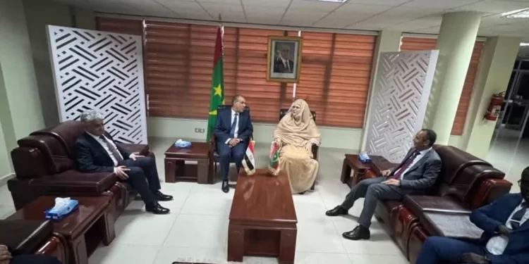 Le ministre des Affaires étrangères en Mauritanie pour renforcer la coopération commerciale 1 - Le Progrès Egyptien