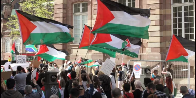 Abu Eisheh : La lutte non violente des intellectuels, un rempart contre la mort de la cause palestinienne 1 - Le Progrès Egyptien